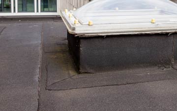 disadvantages of Teffont Magna flat roofs