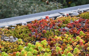 the cost of Teffont Magna green roof installation